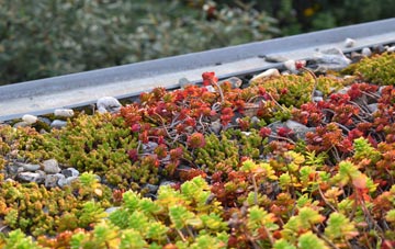 the cost of Ty Newydd green roof installation